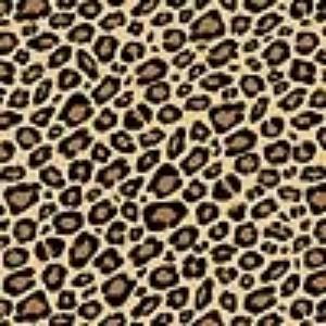 Leopard Print Tissue