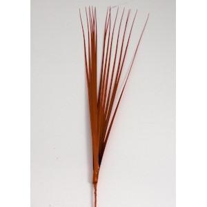 Burnt Orange Spray