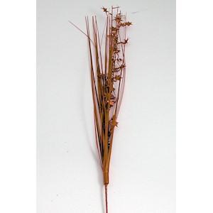 Burnt Orange Star Spray