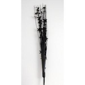 Black Star Spray
