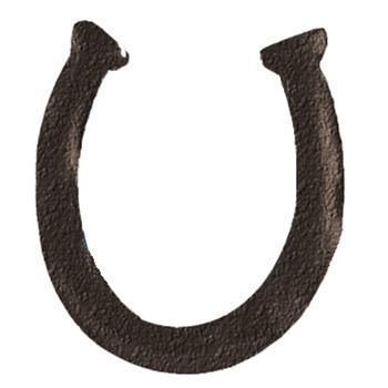 Horseshoe Cut Out for Western Themed Centerpieces