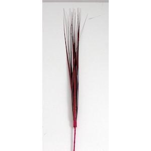 Burgundy Spray
