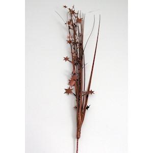 Brown Star Spray