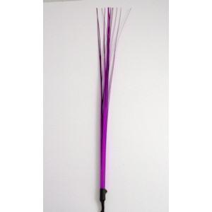 Magenta Spray