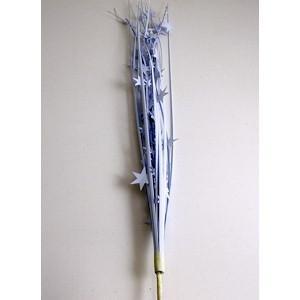 White Star Spray