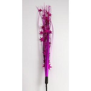 Magenta Star Spray