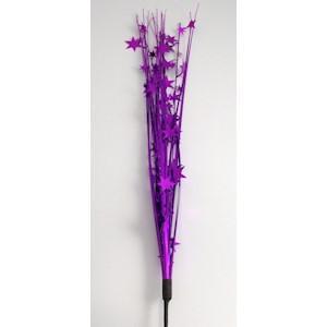 Purple Star Spray