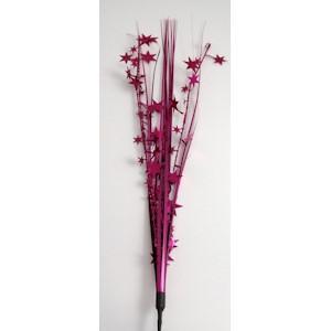 Raspberry Star Spray