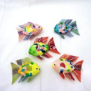 Tropical Fish - 3&frac12