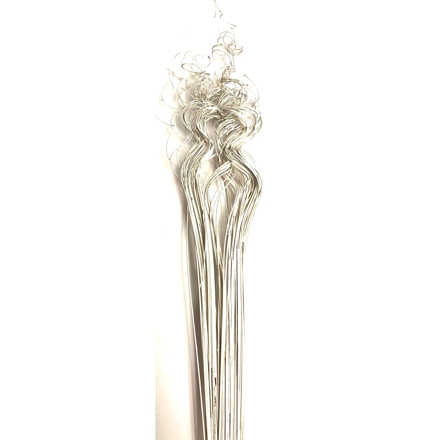 Curly Ting Ting - Opal/Iridescent